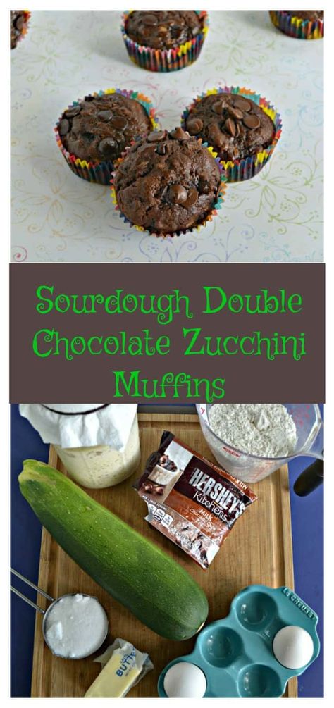 Everything needed to make Sourdough Double Chocolate Zucchini Muffins! #chocolaterecipes #sourdoughrecipes #muffinrecipes | Sourdough Recipes | Muffin Recipes | Chocolate Recipes | Zucchini Recipes | Bread Recipes | Muffin Monday, Chocolate Zucchini Bread Recipe, Blueberry Zucchini Muffins, Double Chocolate Zucchini Muffins, Zucchini Chocolate Chip Muffins, Discard Recipe, Recipes Zucchini, Scone Recipes, Chocolate Zucchini Muffins