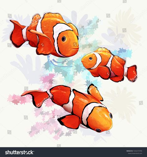 Illustration of fishes on white. Set of three isolated clown fish. Hand drawn illustration. Design elements. Vector - stock. #Ad , #AFFILIATE, #isolated#clown#fish#Set Clown Fish Sketch, Clown Fish Illustration, Clown Fish Painting, Clownfish Illustration, Clown Fish Drawing, Sea Sketches, Biology Project, Fish Sketch, Biology Projects