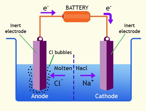 Electrolytic cells structure, importance, and the difference between Electrolytic cell & Galvanic cell Galvanic Cell, Cell Science, Chemical Energy, About Science, Cell Structure, Electrical Energy, Iron Steel, Chemical Reactions, Energy Use