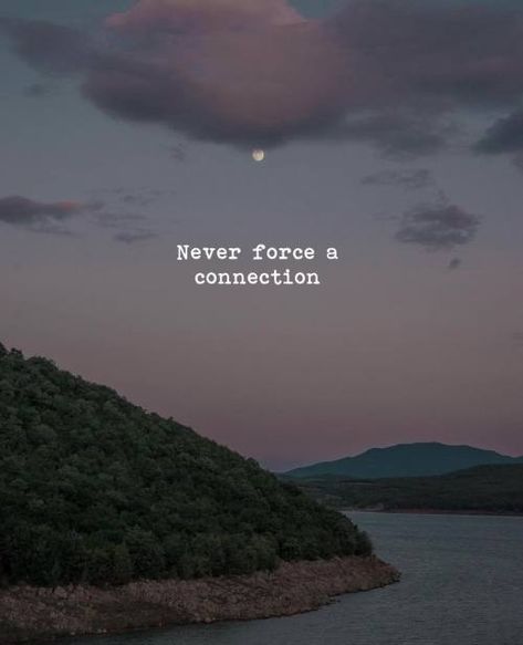 Never force a connection. Never Force A Connection, Praise Quotes, Connection Quotes, Unforgettable Quotes, Tagging Quotes, Paul Walker Pictures, Heart Break, General Knowledge Book, Empowering Words