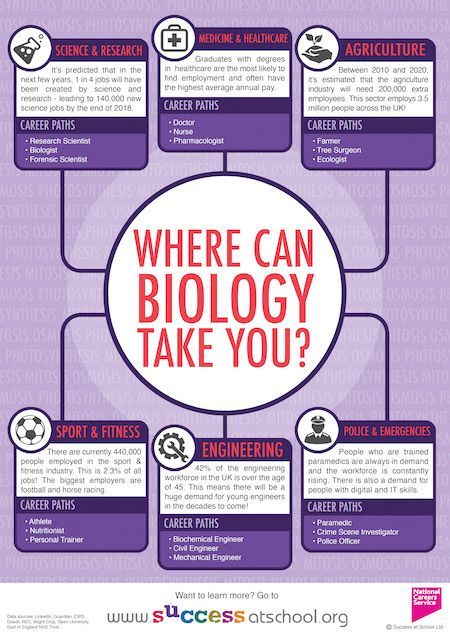 Careers in Biology Biology Jobs, Biology Major, Technology Careers, College Preparation, A Level Biology, Study Biology, Medical Student Study, Biology Lessons, Medical School Motivation