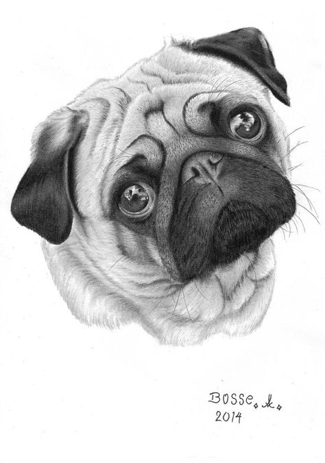 Tatoo Dog, Pug Cartoon, Pug Tattoo, Baby Animal Drawings, Baby Pugs, Animal Drawings Sketches, Pug Art, Dog Sketch, Pug Mom