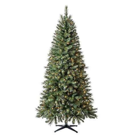 "Purchase the 7ft. Pre-Lit Willow Pine Artificial Christmas Tree, Clear Lights by Ashland® at Michaels. This lush and verdant artificial Christmas tree features 792 easy-to-shape branch tips and 300 clear lights for a striking glow. Introducing the 7ft Pre-Lit Willow Pine Artificial Christmas Tree with Clear Lights by Ashland, a Christmas centerpiece that embodies the enchantment of the holiday season. Available at Michaels, this tree has the perfect mix of nature-inspired beauty and festive ele 5 Foot Christmas Tree, Artifical Christmas Tree, 7ft Christmas Tree, Unlit Christmas Trees, Christmas Tree Clear Lights, Christmas Tree Storage Bag, Realistic Artificial Christmas Trees, Slim Christmas Tree, Christmas Tree Storage