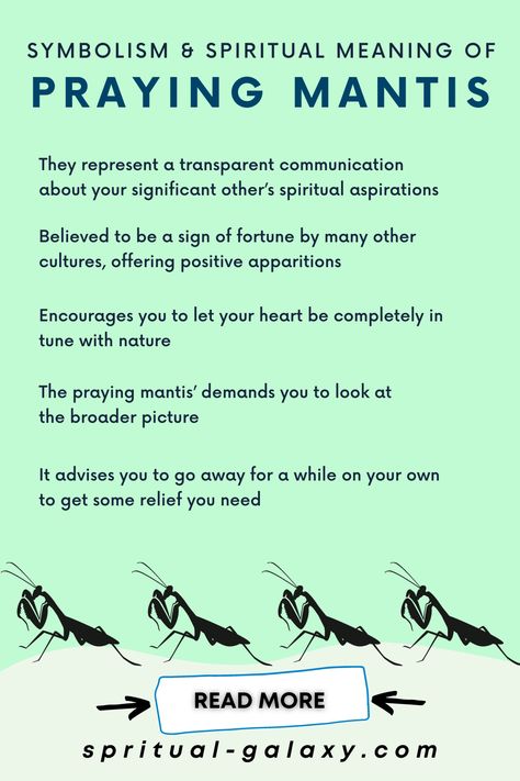 Praying Mantis Spiritual Meaning & Symbolism Stingray Spiritual Meaning, Praying Mantis Meaning Spirit Guides, Animal Correspondences, Praying Mantis Meaning, Praying Mantis Symbolism, Spirit Warrior, Spiritual Understanding, Herbal Witch, Animal Signs