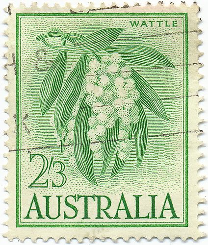 1959 Australian Stamp - Wattle | Flickr - Photo Sharing! Alex Jacque Wattle Tree, Australian Stamps, Farm Women, Australian Natives, Postage Stamp Design, Flannel Flower, Commemorative Stamps, Australian Flora, Postage Stamp Art