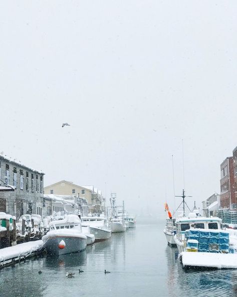 Michaela Hession on Instagram: “❄️Portland❄️ . . . . . #portland #maine #me #portlandme #snow #snowday #snowing #latergram #boats #visitmaine #newengland #igersne…” Maine Snow, Winter In Maine, Maine Portland, Maine Winter, Maine New England, Visit Maine, Photography Winter, Old Port, Winter Photo