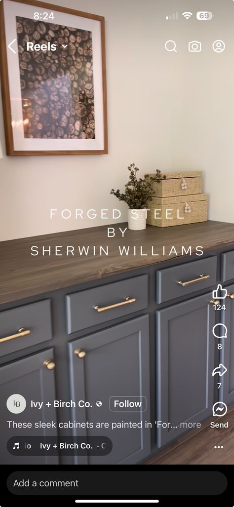 Sherwin Williams Forged Steel, Forged Steel Sherwin Williams, Red Baron Pizza, Sleek Cabinet, Small Kitchen Layouts, Kitchen 2024, Kitchen Layouts, Steel Cabinet, Forged Steel