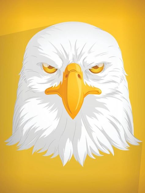 Eagle Head Hawk Falcon Cartoon Front View Closeup Vector Drawing Eagle Front View, Falcon Cartoon, Eagle Head Drawing, Eagle Vector, Head Drawing, Vector Character Design, Drawing Heads, Drawing Drawing, Eagle Head