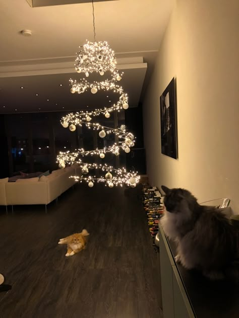 Christmas Tree Alternative Cat, Christmas Tree Pet Proof, Baby Proof Christmas Tree Diy, Cat Proof Christmas Trees, Spiral Christmas Tree Decoration, Cat Proof Christmas Decorations, Cat Proof Christmas Tree Ideas, Christmas Tree Cat Proof, Invisible Christmas Tree