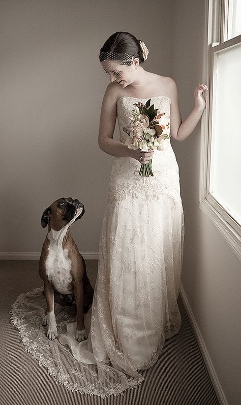 Tattoo Dog, Boxer And Baby, Boxer (dog), Boxer Puppy, Boxer Love, Boxer Puppies, Wedding Pets, Dog Wedding, Boxer Dogs