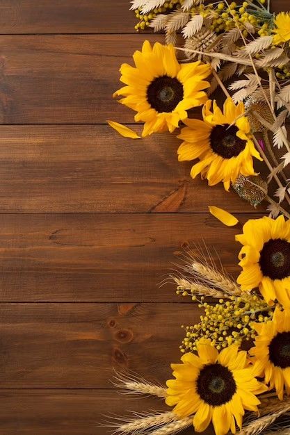 Sunflowers Background, Emoji Pictures, Sunflower Wallpaper, Wood Background, Cute Wallpaper Backgrounds, Screen Savers, Wallpaper Backgrounds, Cute Wallpapers, Phone Wallpaper