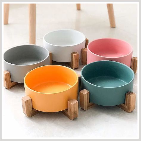 Cat Bowls - Amazon.com, one of the world's largest retailer. Click immediately to buy what you are looking for. Ceramic Cat Bowl, Cat Bowl, Ceramic Cat, Cat Parenting, Cat Feeding, Cat Accessories, Cat Supplies, Cat Pet Supplies, Cat Bowls