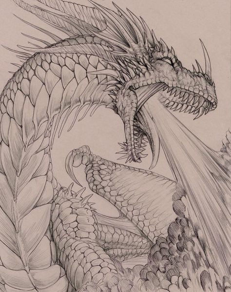 "Fire Breather" by hibbary via DeviantArt Dragon Fire Drawing, Full Body Dragon Drawing, Dragon Drawing Ideas Simple, Fire Dragon Drawing, Dragon Art Sketch, Dragon Art Drawing, Fertility Goddess, Dragon Drawings, Realistic Dragon