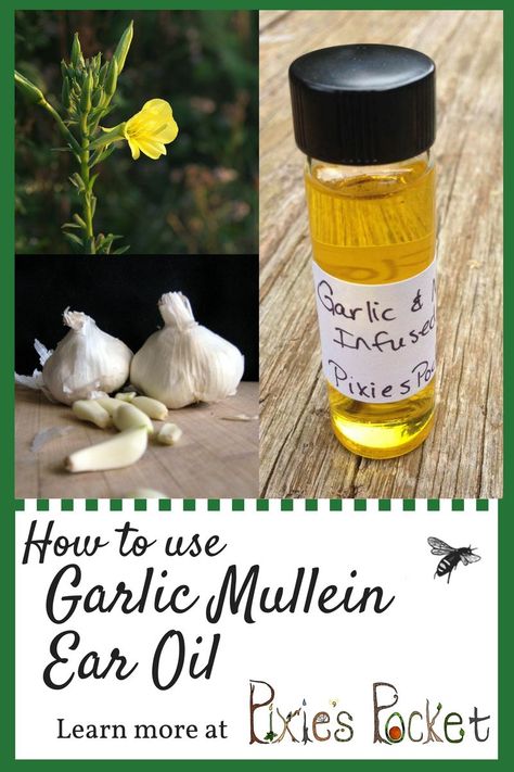 Water In Ear, Mullein Oil, Earache Remedies, Ear Oil, Food Benefits, Coconut Oil For Dogs, Ear Infections, Healing Remedies, Garlic Oil