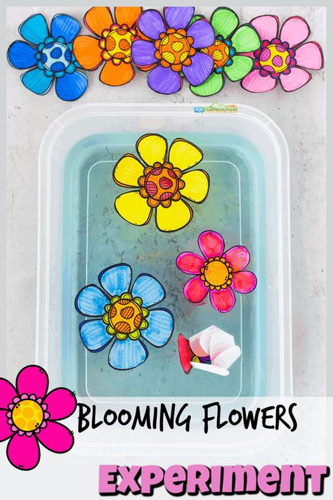 Spring Science Experiments, Flower Activities For Kids, Flower Science, Flower Crafts Preschool, Plant Experiments, Spring Preschool Activities, Capillary Action, Spring Science, Spring Flower Art