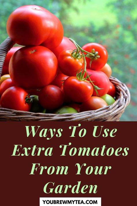 If you have a bumper crop of tomatoes, You Brew My Tea has a variety of ideas of what to do with all the extra tomatoes you harvested from your abundant garden. We have several recipes that everyone will enjoy. Did you know that you can freeze tomatoes? We will show you step-by-step what to do to properly freeze these tomatoes so you will have them for later use. You might want to consider canning a batch as well and we will show you how to do that as well. Learn more... What To Do With All My Garden Tomatoes, What To Do With A Bunch Of Tomatoes, What To Do With Tomatoes From Garden, Ideas For Tomatoes, What To Do With Tomatoes, Abundance Of Tomatoes, Extra Tomatoes, Abundant Garden, Freezing Tomatoes