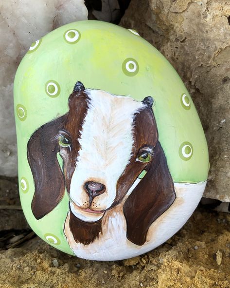 Left this rock on a bench in he Fairleigh Place subdivision. Hope someone goat it and took it home! #paintedrocks #rockpainting #paintedrocksofinstagram #kindnessrocksproject #kindnessrocksstj #paintedpebbles #handpainted #stjosephmo #stjoecreatives #stjosephmissouri #stjosephmorocks #stonepainting Goat Painted Rocks, Nativity Paintings, Goat Paintings, Stone Animals, Painted Pavers, Nativity Painting, Rock Animals, Painted River Rocks, Stone Pictures Pebble Art