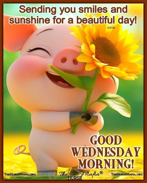 Good Wednesday Morning Good Morning Wednesday Gif, Cute Good Morning Pictures, Good Wednesday Morning, Good Morning Happy Wednesday, Wednesday Morning Greetings, Wednesday Hump Day, Christian Good Morning Quotes, Wednesday Morning Quotes, Wednesday Greetings