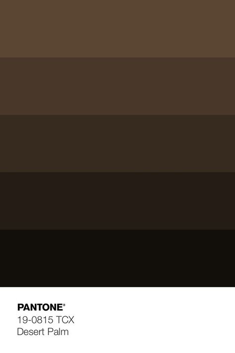 Brown Swatches Colour Palettes, Dark Saturated Color Palette, Dark Circus Color Palette, Rich Brown Color Palette, Autumn Cafe Aesthetic, Brown Color Palette Aesthetic, Dark Academia Colour Palette, Chocolate Colour Palette, Dark Brown Colour Palette