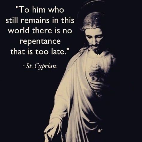 St Cyprian, Catholic Gentleman, Saints Quotes, Saint Quotes Catholic, Catholic Images, Saint Quotes, Divine Mercy, Catholic Quotes, Catholic Prayers