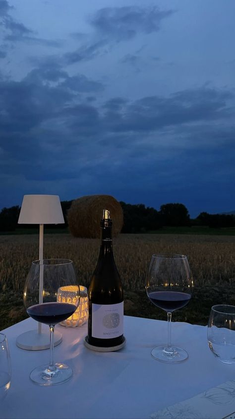 Wine Vibes, Romantic Night, A Gentleman, Wine Time, Nature Aesthetic, Great Friends, Farm Life, Dream Life, Aesthetic Pictures