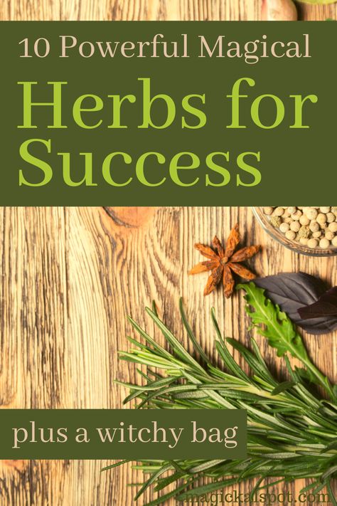 In this article, we'll learn more about 10 Most Powerful Magical Herbs for Success. We also included a few interesting practical tips! Herbs For Success, Witchy Bag, Herbs For Protection, African Herbs, Magickal Herbs, Plant Magic, Luck Spells, Healing Garden, Magic Herbs