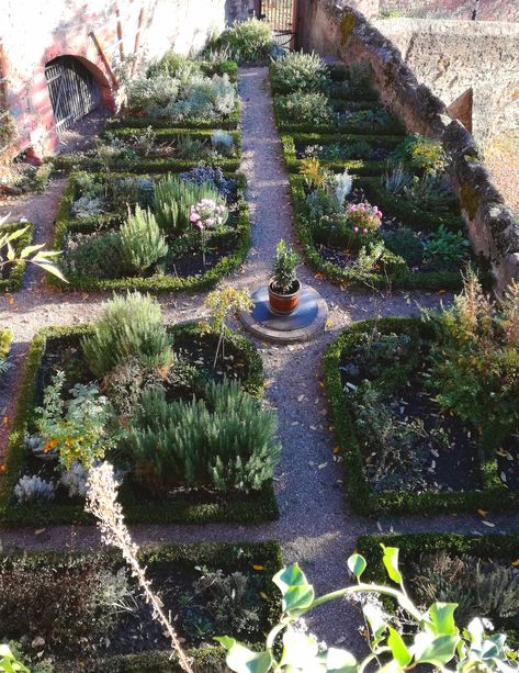 Herb garden..♔.. Medieval Garden Design, Formal Herb Garden, Medieval Herb Garden, Medieval Castle Garden, Monestary Garden, Monastic Garden, Prairie Landscaping, Cloister Garden, Marian Garden