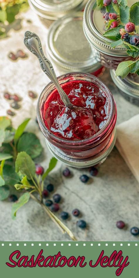 Saskatoon jelly is sweet, fruity, and easy to prepare! Also known as serviceberry jelly and juneberry jelly, it's sure to be a new favorite! Saskatoon Jelly Recipe, Berry Jelly Recipe, Hedgerow Jelly, Saskatoon Berry Recipes, Saskatoon Berry Recipe, Assyrian Recipes, Saskatoon Berry, Berry Recipes, Foraging Recipes