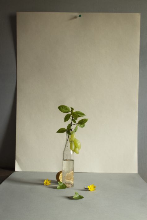 Vase Product Photography, Bathroom Still Life, Modern Still Life Photography, Vases Photography, Flower Still Life Photography, Minimal Still Life, Table Still Life, Beauty Still Life, Shooting Studio