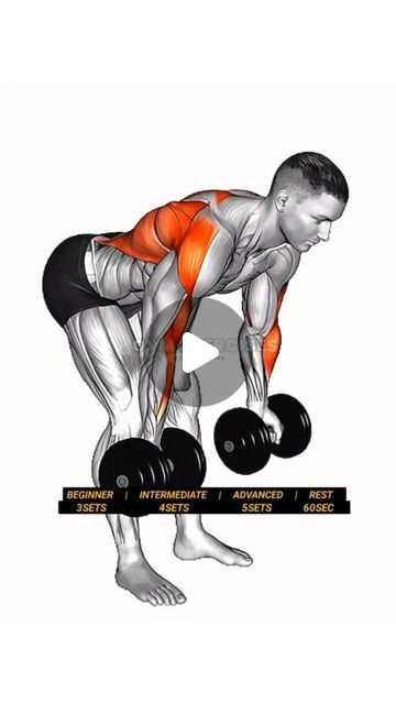 Lat Dumbell Exercises, Back Exercises With Weights, Back Workouts With Dumbbells, Back Workout Dumbell, Dumbell Back Workout, Back Workout With Dumbbells, Back Exercises For Men, Back And Shoulders Workout, Dumbbell Back Exercises