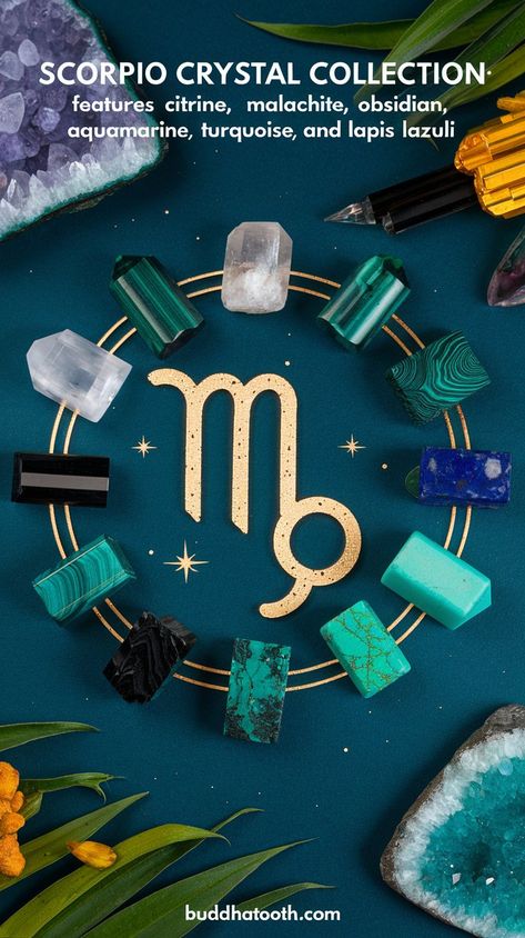 Scorpio Stones, Personal Magnetism, Scorpio Birthstone, The Scorpions, Powerful Energy, Birthstone Gifts, Navigating Life, Magnetism, Crystal Collection