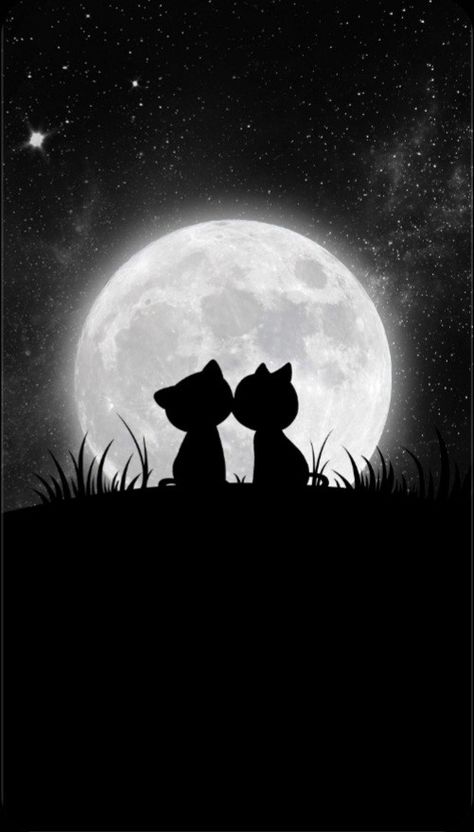 Couple Cat, Cat Phone Wallpaper, 31st Birthday, Flame Art, Black And White Art Drawing, Cat Phone, Image Chat, 75th Birthday, Cellphone Wallpaper Backgrounds