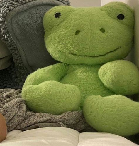 Frog Stuffed Animal Aesthetic, Green Dinosaur Aesthetic, Green Objects Aesthetic, Stuffed Animal Aesthetic, Dinosaur Aesthetic, Objects Aesthetic, Green Objects, Frog Stuffed Animal, Animal Aesthetic