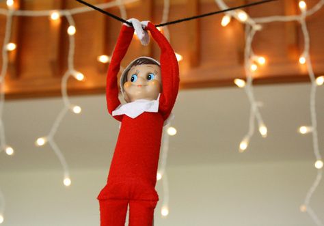 Elf Trap, Line Ideas, Elf Report Card, Awesome Elf On The Shelf Ideas, Xmas Elf, Zip Line, Hiding Spots, Elf On The Shelf Ideas, Blog Planner