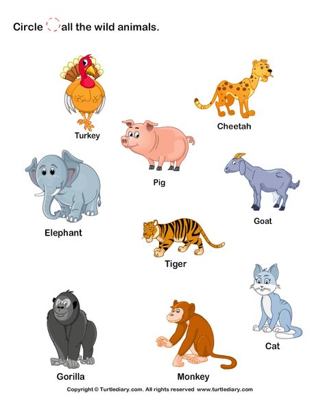 Download and print Turtle Diary's Identify Wild Animals worksheet. Our large collection of science worksheets are a great study tool for all ages. Animals Worksheet, Animal Pictures For Kids, Nursery Worksheets, Animal Activities For Kids, Animal Lessons, Animal Body Parts, Animal Adaptations, Animal Worksheets, Kids Worksheets Preschool