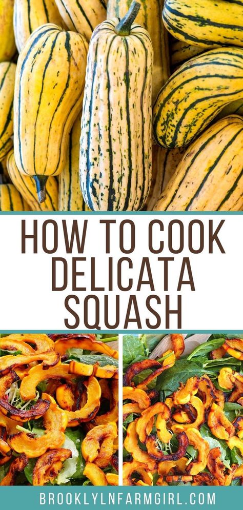 Have you ever tried delicata squash? It’s delicious! When your garden is filled with squash, or you pick one up at the August farmers market curious about the taste, this roasted delicata squash recipe is sure to become a favorite! I prepare this very similarly to other roasted vegetables, and like it as a side dish, or on top of a salad. It also makes a perfect Summer snack! Personally, I like to double this recipe as my family eats them like french fries and there’s never any left over! Healthy Delicata Squash Recipes, Squash Delicata Recipes, Delicate Squash Roasted, Sweet Mama Squash Recipes, Roasted Delicata Squash Recipe, Delectica Squash Recipe, Delicate Squash Recipes, Ways To Cook Squash, Squash Recipes Healthy