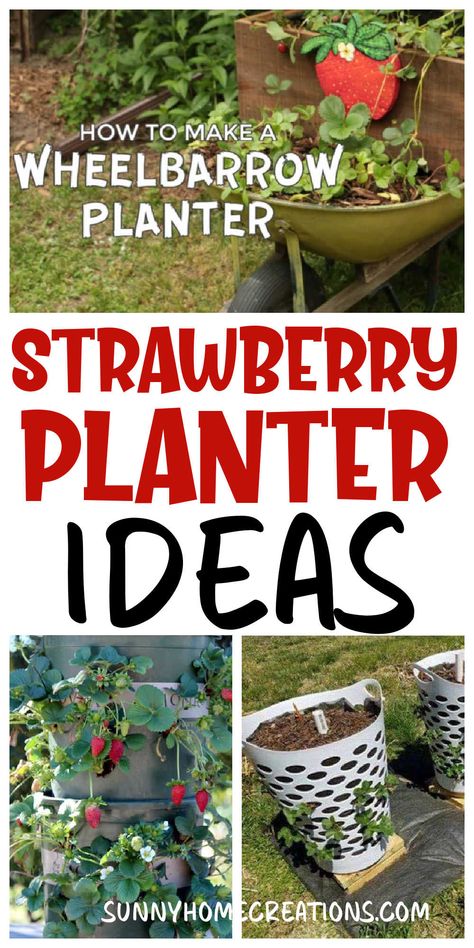 Strawberry Planter Ideas, Growing Strawberries Vertically, Strawberry Planters Diy, Growing Strawberries In Containers, Mailbox Flowers, Planter Designs, Strawberries In Containers, Strawberry Planter, Strawberry Tower