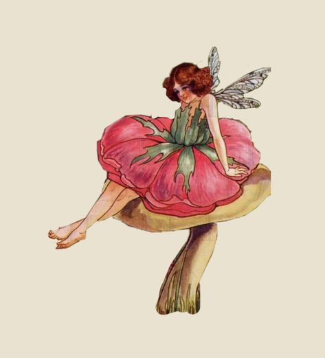 Iphone Icon Aesthetic, Cottagecore Icons, Mr Frog, Fairy Rose, Aesthetic Fairy, Arte Grunge, Arthur Rackham, Vintage Fairy, Fairy Aesthetic