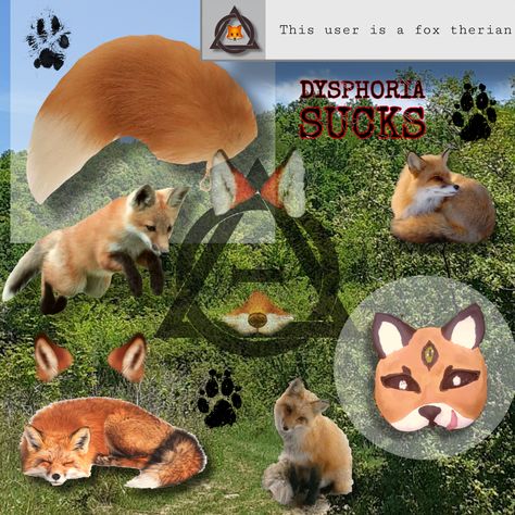 Red fox therian therianthropy otherkin alterhuman otherhearted foxhearted foxtherian orange kith foxkith cute board shiftboard shifts quadrobics art #therian #fox #alterhuman Quadrobics Art, Red Fox Therian, Red Fox Art, Fox Therian, Therian Stuff, Fox Art, Red Fox, Cool Names, Fox