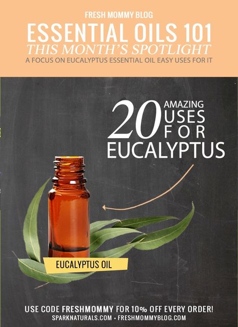 Eucalyptus Essential Oil Uses, Eucalyptus Oil Uses, Essential Oils 101, Essential Oil Remedy, Oil Remedies, Essential Oil Benefits, Doterra Oils, Eucalyptus Oil, Eucalyptus Essential Oil