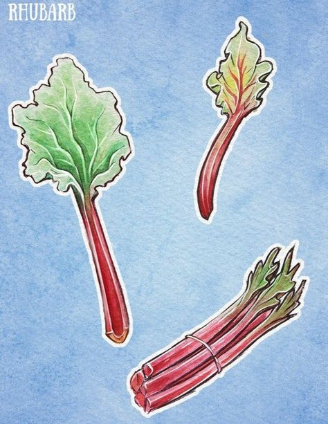 Rhubarb Tattoo, Rhubarb Plant, Painting Food, Eat Salad, Pin Up Tattoos, Strawberry Rhubarb, Plant Drawing, Drawing Inspo, Life Tattoos