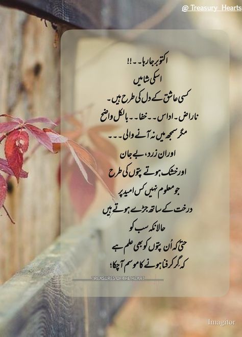 October Poetry In Urdu, October Aesthetic Quotes, October Quotes Aesthetic, October Aesthetics, October Poetry, October Wallpapers, Autumn Poetry, Start Quotes, Autumn Poems