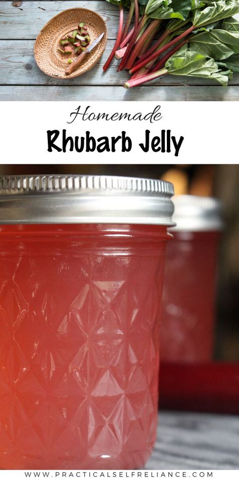 Rhubarb jelly is a special spring treat and naturally tart rhubarb is perfect for a sweet-tart jelly that is a good choice for canning. Rhubarb Canning Recipes, Canning Jelly Recipes, Rhubarb Marmalade, Canning Fruit Recipes, Fruit Jelly Recipe, Easy Rhubarb Recipes, Rhubarb Jelly, Rhubarb Juice, Strawberry Rhubarb Jam