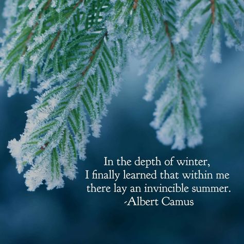 Widow Warriors, An Invincible Summer, Winter Quote, Invincible Summer, Haiku Poetry, Inspirational Music Quotes, Plants Quotes, Winter Quotes, Spiritual Thoughts