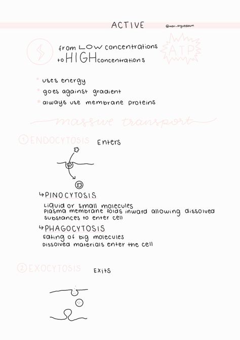 Aesthetic biology cell membrane summary notes for school Transport Across Cell Membrane Notes, Passive Transport Notes, Passive Transport Biology, Membrane Transport, Protein Biology, Active Transport, Passive Transport, Doctor Of Osteopathic Medicine, Study Things