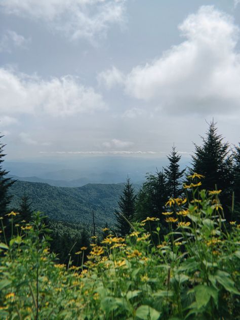 Great Smoky Mountains Aesthetic, Smokey Mountains Aesthetic, Tennessee Flowers, Smokey Mountains Vacation, Bach Weekend, Mountains Vacation, Mountains Aesthetic, Yellow Wildflowers, Mountains Landscape