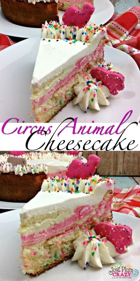 Frosted Animal Cookie Cheesecake, Specialty Cheesecake, Circus Animal Cheesecake, Animal Cookie Cheesecake, National Cheesecake Day, Animal Cookie, Fun Animals, Plain Jane, Oreo Dessert