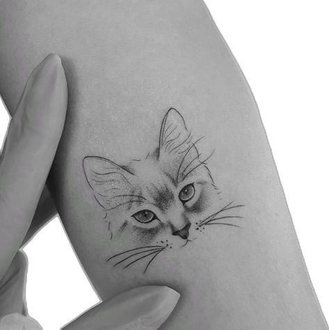 awesome cat tattoo ideas © tattoo artist ✿ Salmontattoo Austin ✧ @pettattoo.salmon ✿ ♡🧿♡🧿♡ #cattattoos #cooltattoos #inked #tattoolvoe #tattooinspiration #cats #besttattooideas Cat Eye Tattoos, Cat Face Tattoos, Tattoo Gato, Cat Portrait Tattoos, Cat Tattoo Simple, Cat Tattoo Small, Black Cat Tattoos, Silhouette Tattoos, Amazing Tattoos