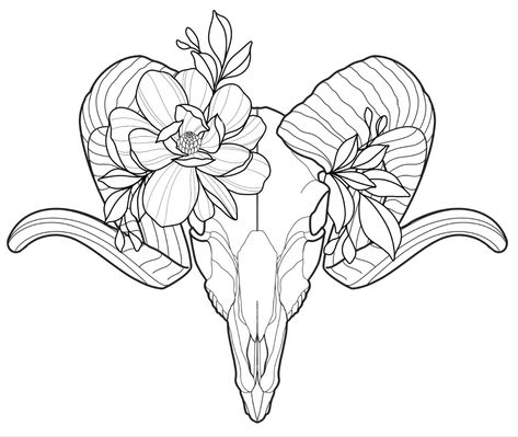 Buck Skull Drawing, Mountain Goat Skull Tattoo, Animal Skull With Flowers Tattoo, Lamb Skull Tattoo, Ram Skull Tattoo Feminine, Animal Skull Tattoo Flowers, Sheep Skull Tattoo, Ram Skull Tattoo Design, Ram Skull Drawing