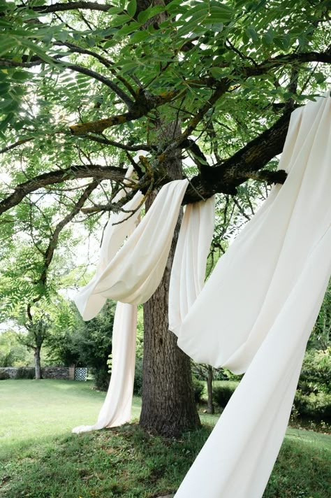 Wedding Tree Drapery, Diy Backyard Wedding Decorations, Wedding Ceremony Draping, White Drapes Wedding, Ceremony Draping, Outdoor Wedding Altars, Ceremony Arbour, Charleston Elopement, Weddings In France